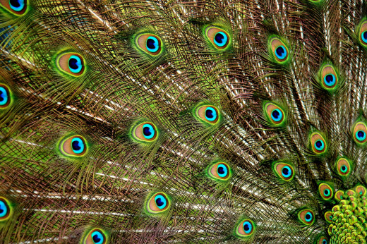 583994 (a): :2800x1860